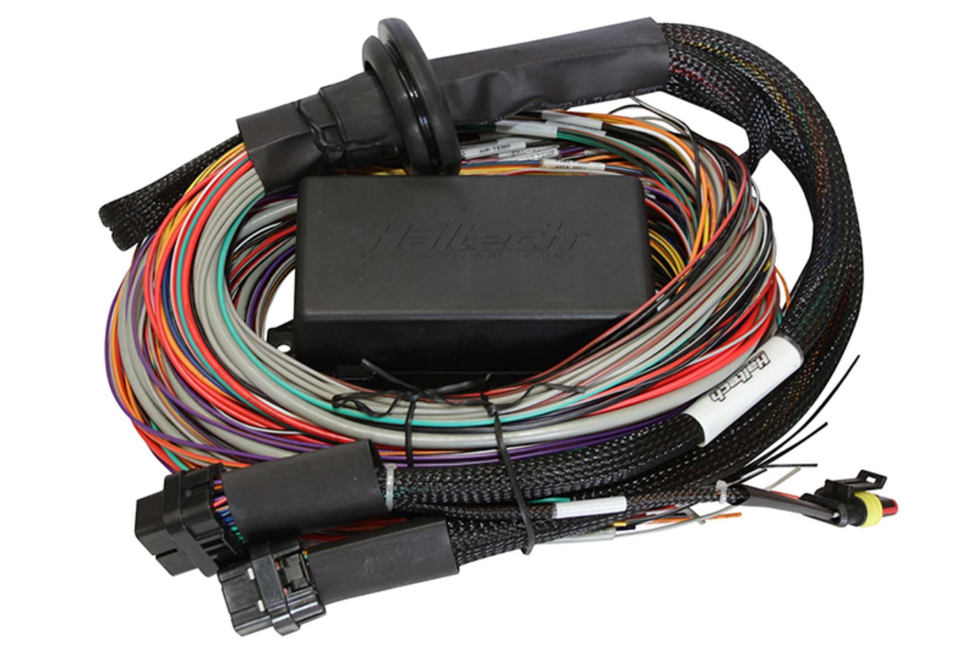 Picture of Haltech Elite 1500 8ft Premium Universal Wire-In Harness