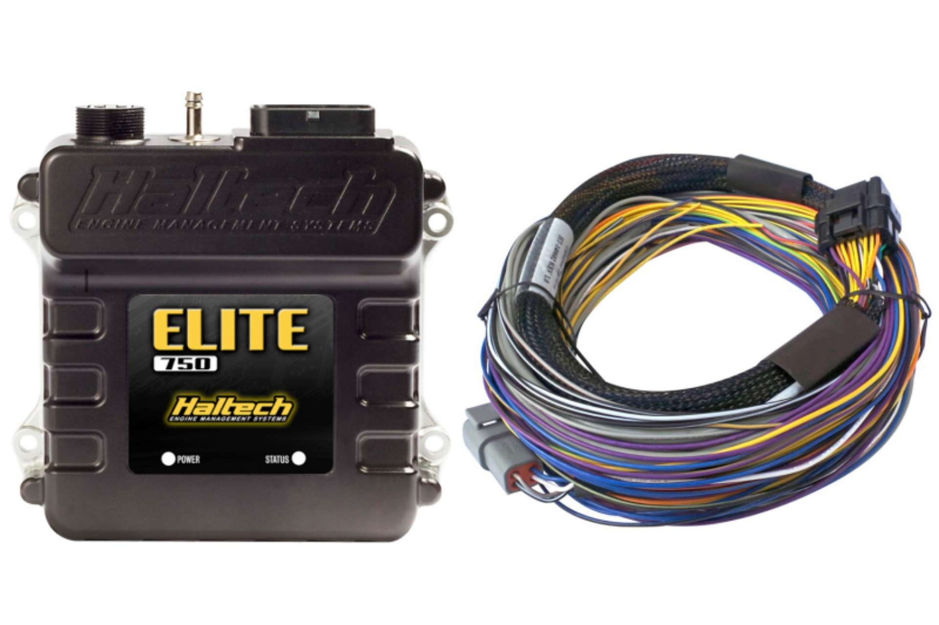 Picture of Haltech Elite 750 Basic Universal Wire-In Harness ECU Kit