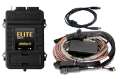 Picture of Haltech Elite 2500 Premium Universal Wire-In Harness ECU Kit