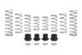 Picture of Eibach Pro-UTV 18-20 Polaris RZR XP 4-Seat 1000 Stage 2 Performance Springs Set of 8 Springs