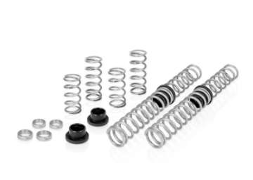 Picture of Eibach Pro-UTV 18-20 Polaris RZR XP 4-Seat 1000 Stage 2 Performance Springs Set of 8 Springs