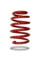 Picture of Pedders 2016+ Ford Focus RS Low Coil Spring - Front