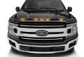 Picture of AVS 2016-2018 Ford F-150 Aeroskin LightShield Color Hood Protector, Shadow Black