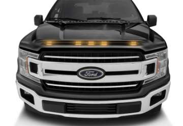 Picture of AVS 2016-2018 Ford F-150 Aeroskin LightShield Color Hood Protector, Shadow Black