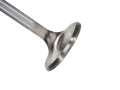 Picture of Manley Ford 289-302-351W 1-550 Race Flo Exhaust Valves