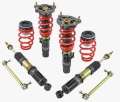 Picture of Skunk2 17-20 Honda Civic Si Pro-ST Coilovers