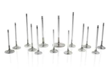 Picture of Ferrea Chevrolet LS1 1-6in 0-313in 4-915in 24 Deg Tulip S-Flo Rad Grv Hollow Exhaust Valve- Set of 8