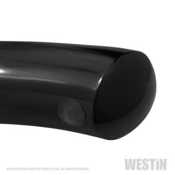 Picture of Westin 19-20 Chevrolet Silverado - GMC Sierra 1500 Reg Cab PRO TRAXX 4 Oval Nerf Step Bars - Black