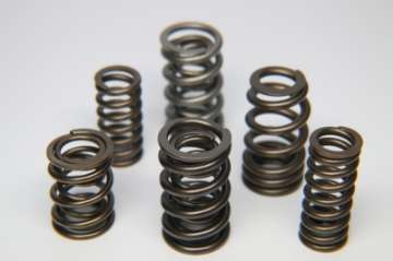 Picture of Ferrea 1-600in to 1-650in Dia 1-065-1-625 OD 0-770-1-189 ID Dual w-Damper Spring- Sngl D-S Only