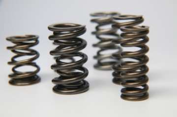 Picture of Ferrea 1-225in to 1-570in Diameter 1-025-1-57 OD 0-74-1-135 ID Dual w-Damper Valve Spring- Set of 16