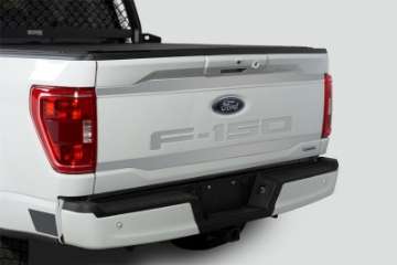 Picture of Putco 2021 Ford F-150 Ford Lettering Cut Letters-Stainless Steel Tailgate Emblems