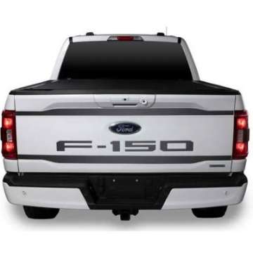 Picture of Putco 2021 Ford F-150 Stainless Steel Black Platinum Upper-Lower Tailgate Accent 2pcs