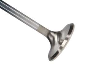 Picture of Manley Chevy L83 5-3L 1-560in Head Diameter Pro Flo-Severe Duty Exhaust Valve Single