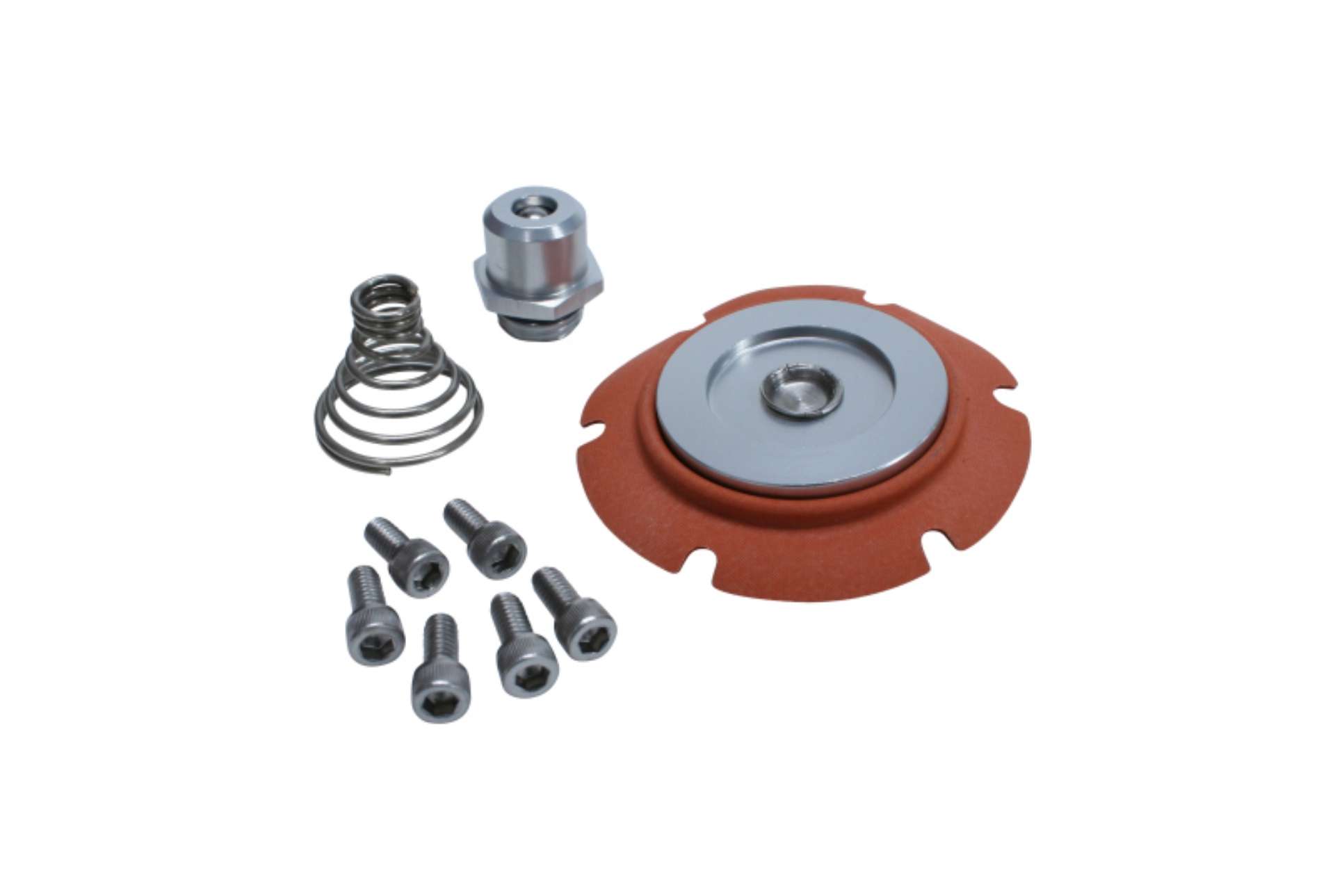 Picture of Aeromotive Carbureted Regulator Repair Kit 13222