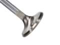 Picture of Manley Severe Duty Series Small Block Chevy Stainless Steel Exhaust Valves - Set of 8