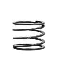 Picture of Eibach ERS 100mm Length x 60mm ID Coil-Over Spring