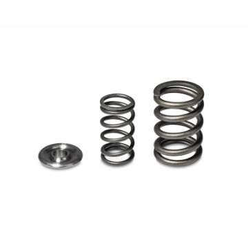 Picture of Skunk2 Alpha Series Honda-Acura H Series Valve Spring and Titanium Retainer Kit