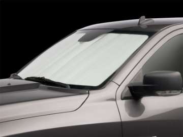 Picture of WeatherTech 09-11 Dodge Pickup Large TechShade