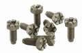 Picture of Ford Racing 4-6L Manual Flywheel Bolts