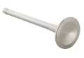 Picture of Ford Racing Exhaust Valve 302-351W