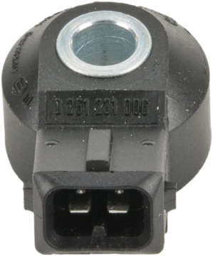 Picture of Bosch Knock Sensor