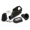 Picture of Banks Power 03-07 Ford 6-0L Ram-Air Intake System - Dry Filter