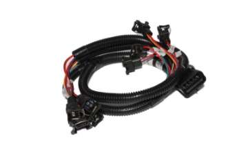 Picture of FAST Injector Harness Ev1 289302