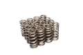 Picture of COMP Cams Valve Springs Ford 4-6L 2 Valve