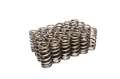 Picture of COMP Cams Valve Springs Ford 4-6L 2 Valve