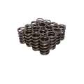 Picture of COMP Cams Valve Springs For 920-974