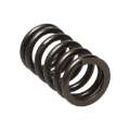 Picture of Manley Nissan SR20DE SR20DET 16pc Valve Springs