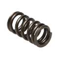 Picture of Manley Nissan VQ35DET 24pc Valve Springs