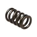 Picture of Manley Nissan RB26DET 24pc Valve Springs