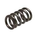 Picture of Manley Dodge SRT-4 16pc Valve Springs