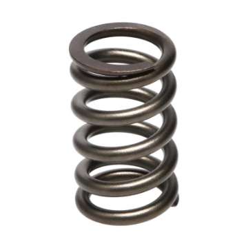 Picture of Manley Dodge SRT-4 16pc Valve Springs