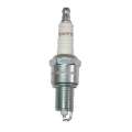 Picture of Omix Spark Plug- 99-04