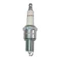 Picture of Omix Spark Plug- 87-90