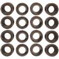 Picture of Manley Honda K20A-K20Z Valve Spring and Retainer Kit w-o Valve Locks