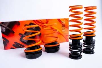 Picture of MSS 11-20 BMW 1 - 2 - 3 - 4-Series - M2 - M3 - M4 Competition Sports Full Adjustable Kit