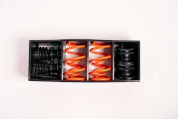 Picture of MSS 18-21 Mercedes A-Class Sports Full Adjustable Kit