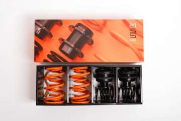 Picture of MSS 14-21 Mercedes C-Class Sports Full Adjustable Kit