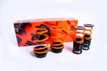 Picture of MSS 13-21 MINI Gen2 Cooper Sports Full Adjustable Kit