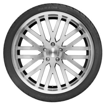 Picture of Yokohama Parada Spec-X Tire - 255-30R22 95V