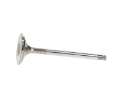 Picture of Manley Nissan Patrol 35mm Race Master Exhaust Valves Set of 12