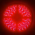 Picture of Oracle Side Emitting LED Spool - Red SEE WARRANTY