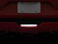 Picture of Raxiom 15-17 Ford Mustang LED Reverse Light