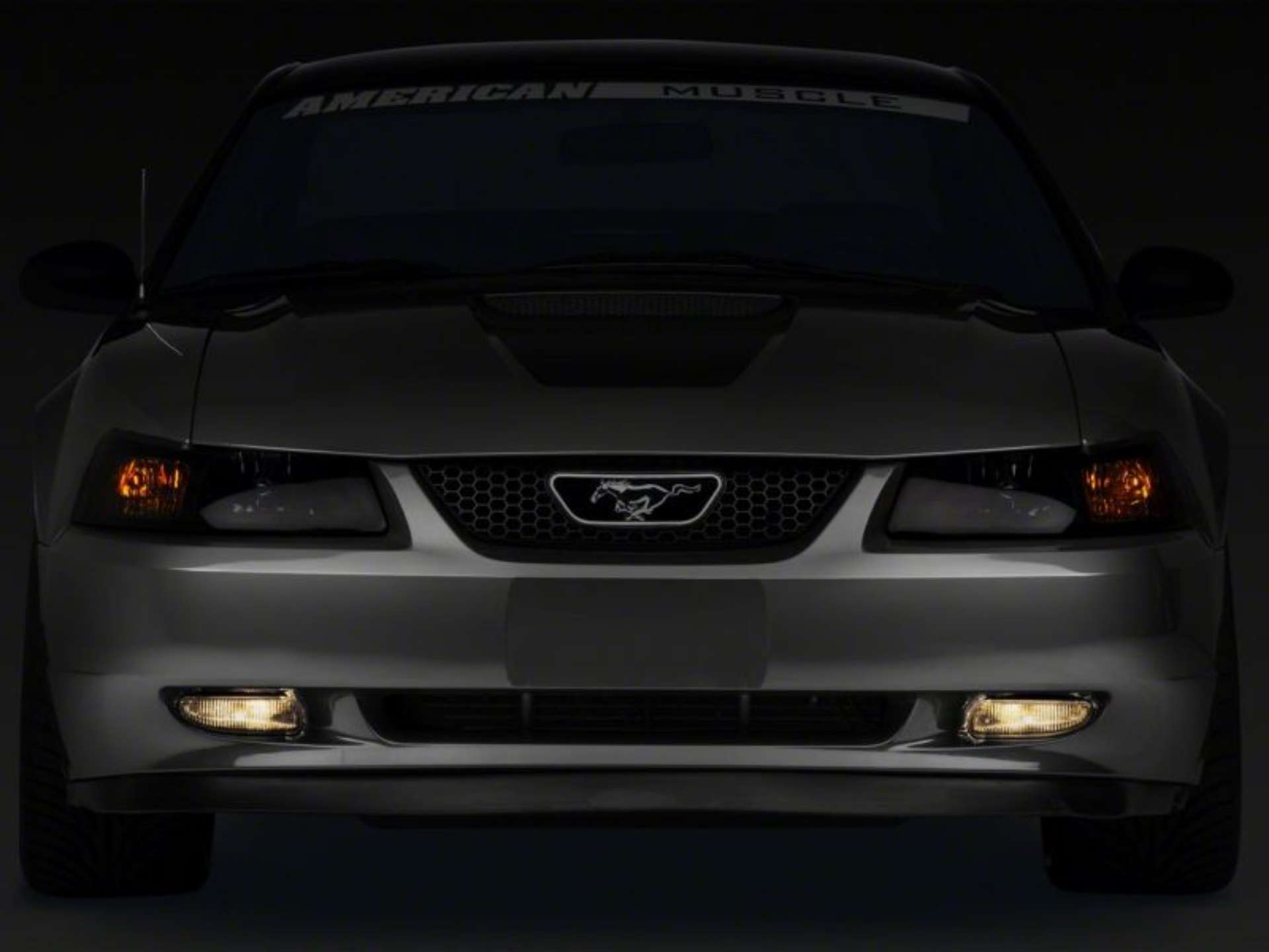 Picture of Raxiom 99-04 Ford Mustang Excluding Cobra Fog Lights- Smoked