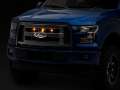 Picture of Raxiom 15-17 Ford F-150 Excluding Raptor Axial Series Raptor Style Grille Light Kit