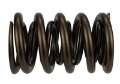 Picture of Ford Racing  Replacement Hydraulic Roller Valve Spring - Single For M-6049-SCJA