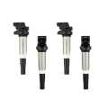 Picture of Mishimoto 2002+ BMW M54-N20-N52-N54-N55-N62-S54-S62 Four Cylinder Ignition Coil Set of 4